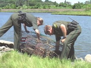 game warden